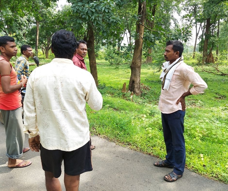 Scaling up: the road to millions of trees