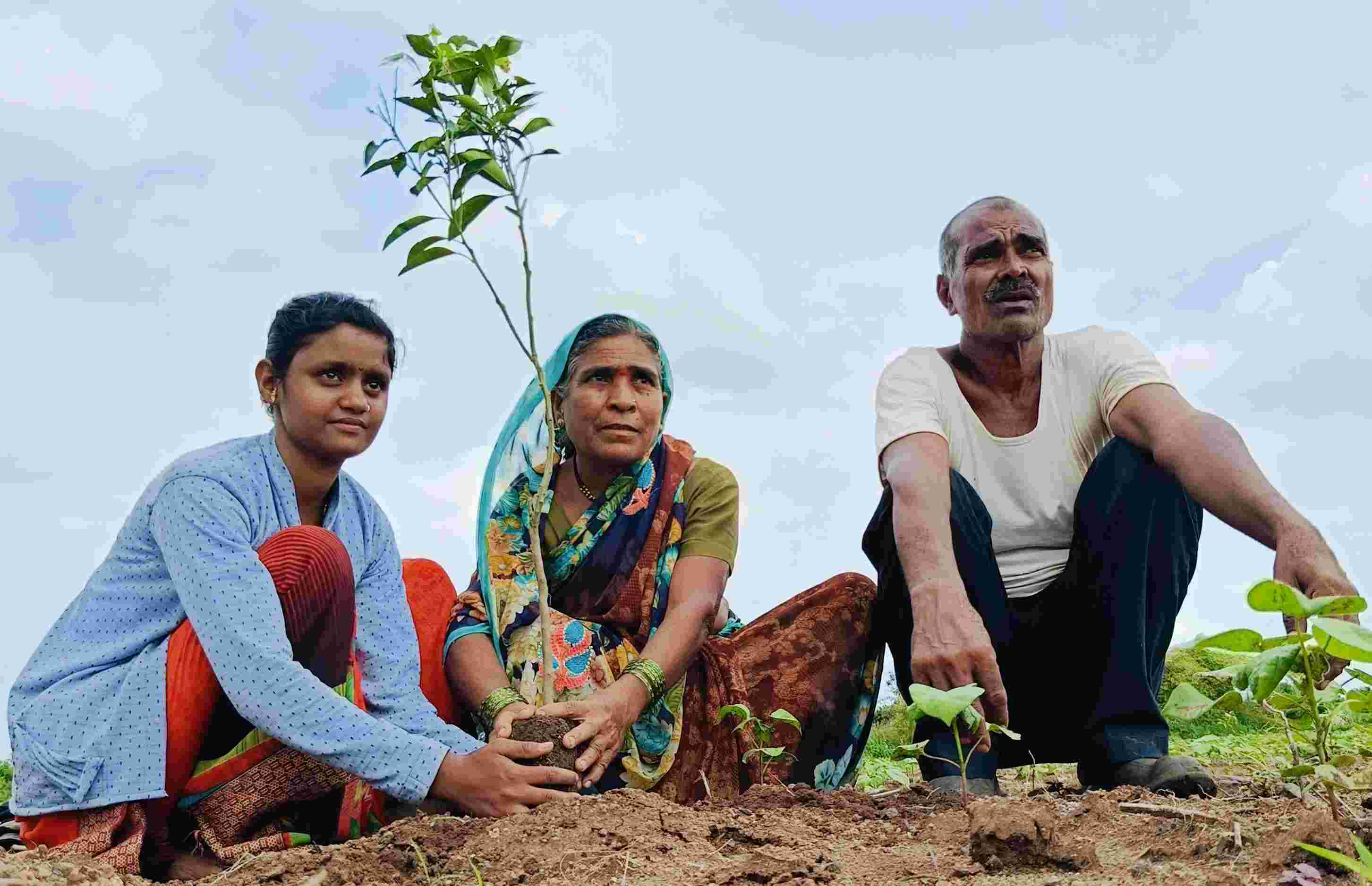 Agroforestry