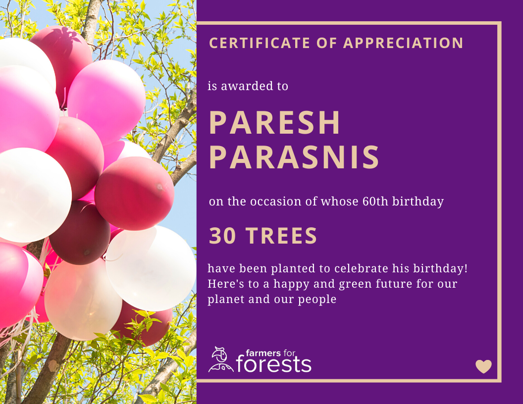 Birthday theme