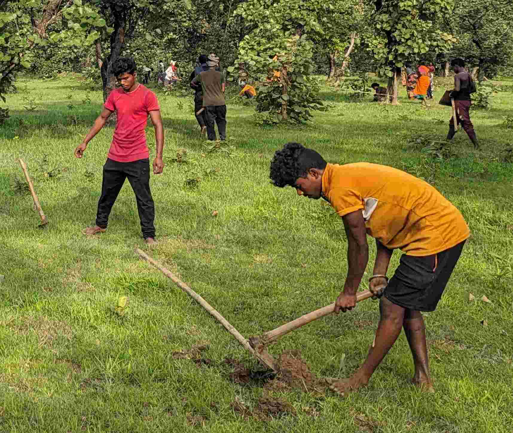 Forest Protection & Restoration