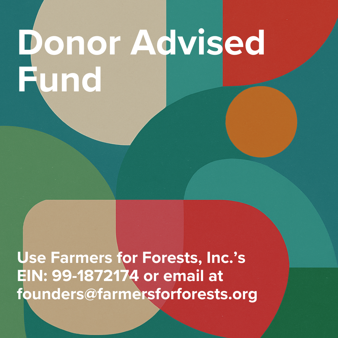 Donor Advised Fund