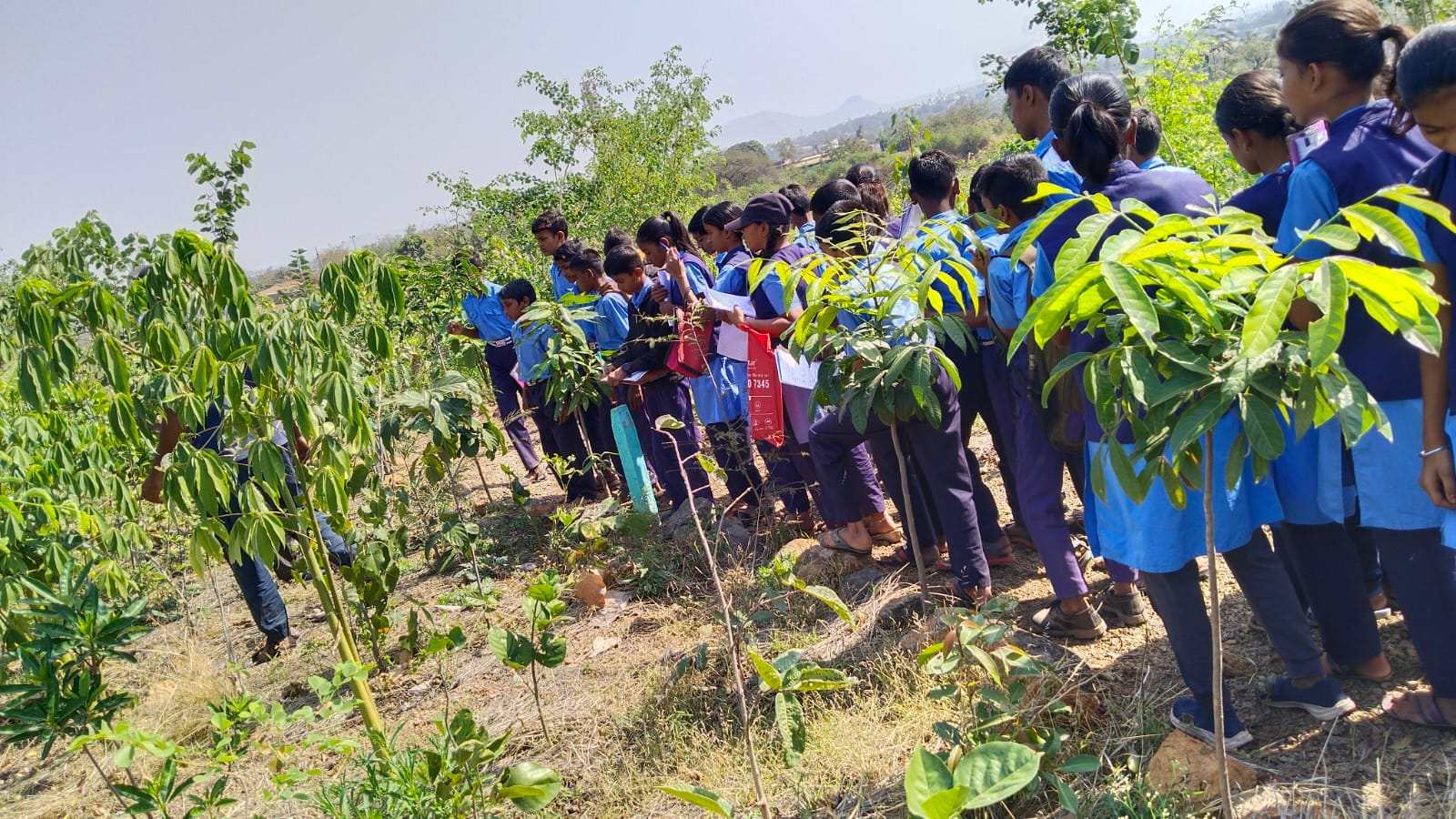 Climate Change Education